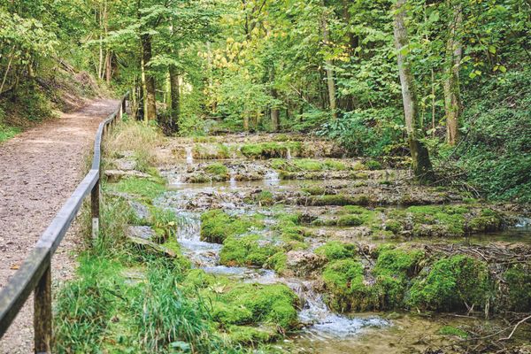 Ein Weg führt durch den Wald an einem Bach mit kleinen Wasserstufen entlang.