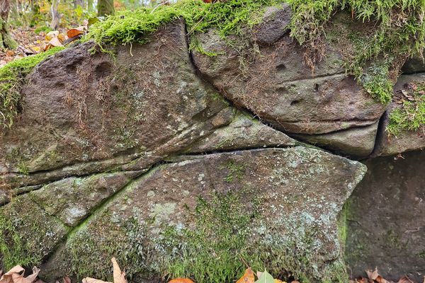 Im bunt belaubten Buchenwald liegen mächtige, bemooste Basaltfelsen und Steine.