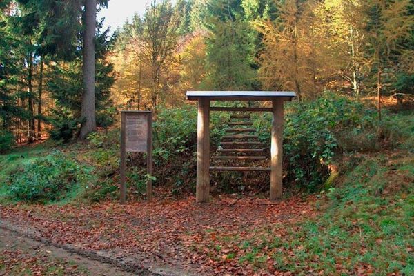 Nach Größe sortiert sind quer untereinander verschieden lange Holzstäbe aufgereiht. Mit diesen Hölzern kann man Melodien erzeugen.
