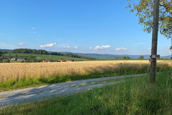 Zwischen einer Wiese im Vordergrund und einem Kornfeld verläuft ein kiesbestreuter Weg, an dessen Wegrand ein Laubbaum mit Hinweisschildern steht. Im Hintergrund sind einige Gebäude, Wiesen und Wälder zu sehen.