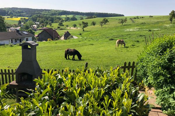 GrillmÃ¶glichkeit mit Aussicht