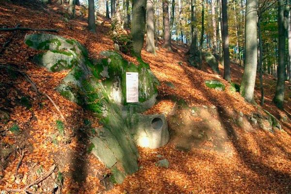 Der Summstein ist eine Station im Wald beim Naturerlebnisweg Kobelstein.