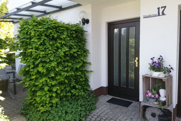 Eingangsbereich und Terrasse
