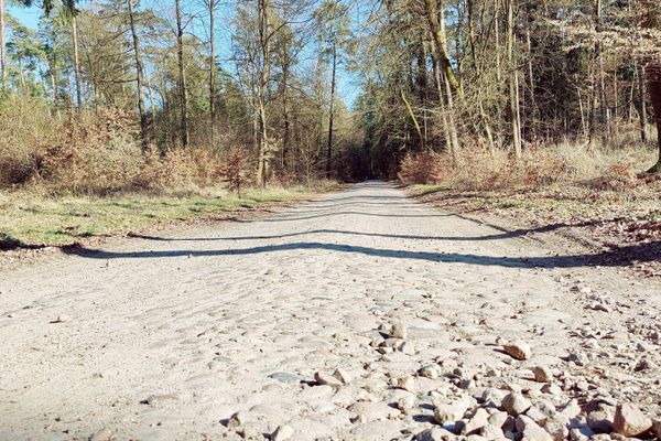 Im Waldgebiet zwischen Solchstorf und dem Elbe-Seitenkanal verläuft ein Abschnitt historischen Kopfsteinpflasters – ein Relikt aus früherer Zeit, das heute noch in Teilen erhalten ist. Der Weg führt durch einen lichten Mischwald und lässt sich gut zu Fuß oder mit geländetauglichem Rad erkunden.