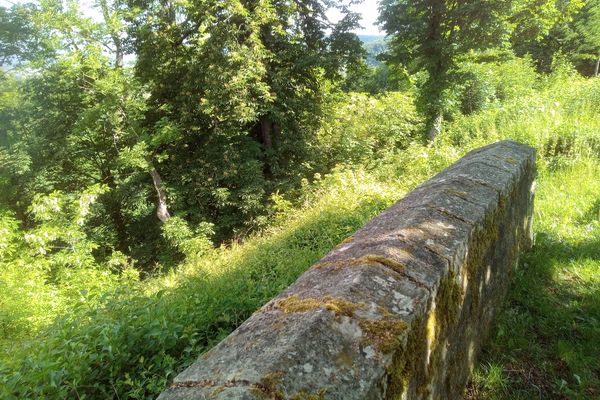 Die Wiesenfläche vor der Freistellung (Mai 2020)