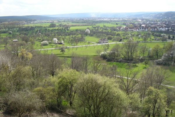 Streuobsterlebnisweg Kleinwallstadt_3