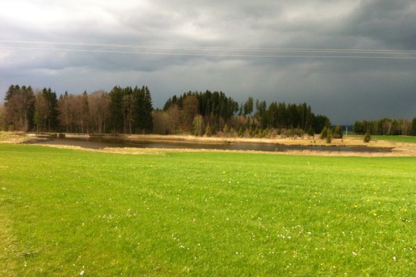 Der Badweiher bei Steingaden