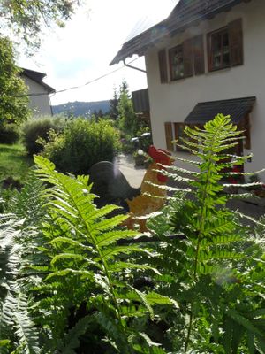 Steffahof