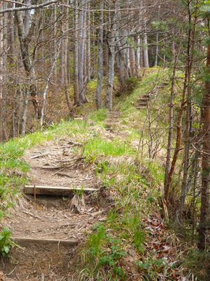 Unzählige Treppen gilt es auf dem Weg in Richtung Schnalz-Gipfel zu überwinden.