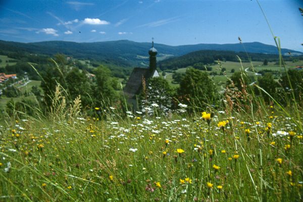 Im Vordergrund eine blühende Kräuterwiese; dahinter, teils von Laubbäumen verdeckt, die Leonhardikapelle. Im Hintergrund sind Teile von Sankt Englmar und eine bewaldete Hügelkette zu