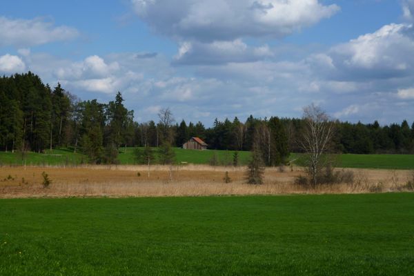 Wunderschöner Blick über das Moorgebiet östlich des Pollinger Weihers.