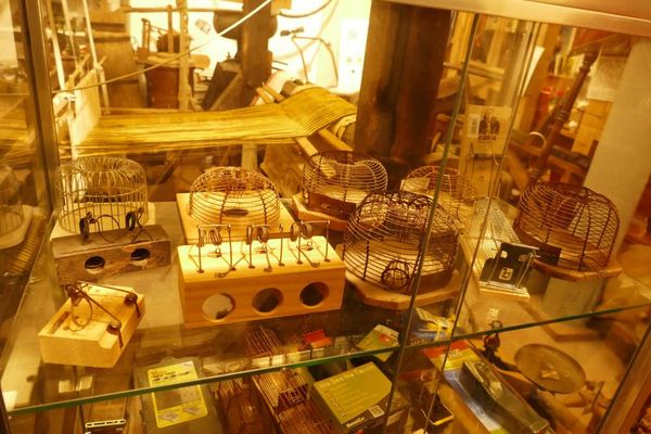 Mausefallensammlung im Heimatmuseum Bad König