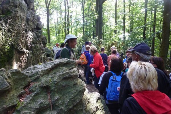 Mit dem Geopark-Ranger am Hohenstein