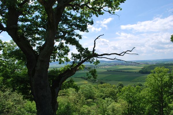 Aussicht nach Westen