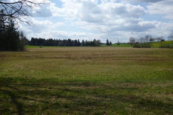 Spazieren entlang weitläufiger Moorflächen.