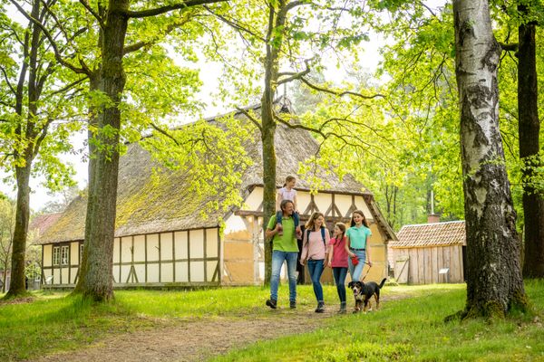Eine sommerlich gekleidete Familie geht unter Laubbäumen an einem großen Fachwerkhaus des Museumsdorfes Hösseringen entlang