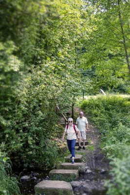Zwei Wanderer laufen in einem üppig mit Büschen und Bäumen bewachsenen Umfeld über Schrifttsteine quer über einen Bach.