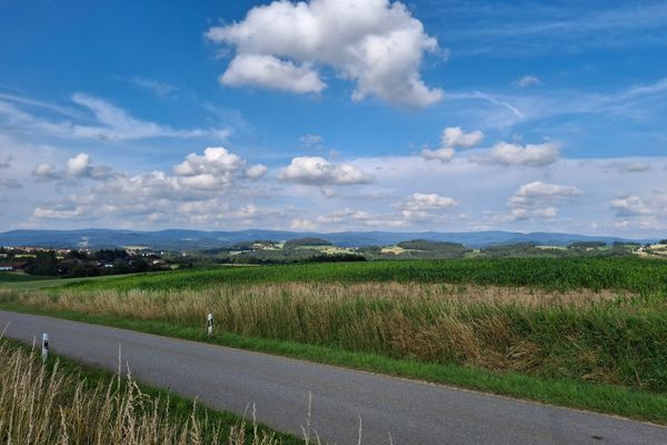 Eine schmale Straße führt durch hohe Gräser und einem dahinter liegenden Feld. Im Hintergrund verstreute Orte, Wiesen, Wälder und eine bewaldete Hügellandschaft am Horizont.