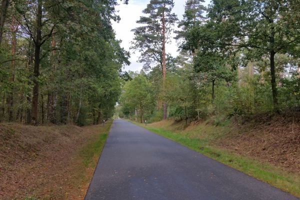 Gerade Waldstraße durch das Waldgebiet an der ehemaligen deutsch-deutschen Grenze.