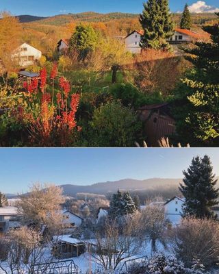 Panoramablick - im Herbst und im Winter
