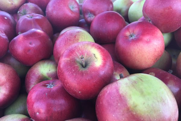 Regionale Obstsorten