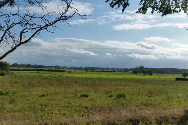 Weitläufiger Blick über die naturnahen Bodenteicher Seewiesen mit ihrer offenen Wiesenlandschaft.