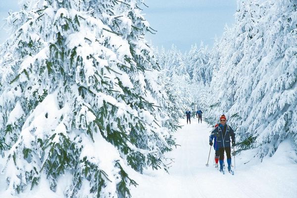 Langlauf Schwarzach-Grandsberg