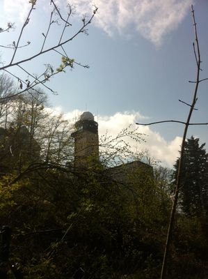 Der Betrachter blickt durch Buschwerk hindurch hoch zum Turm mit Radarkuppel der Bergwetterstation.