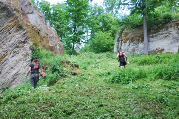 Mäharbeiten in der Ruine Rotenhan