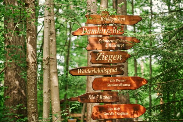 Wegweiser Schongauer Märchenwald