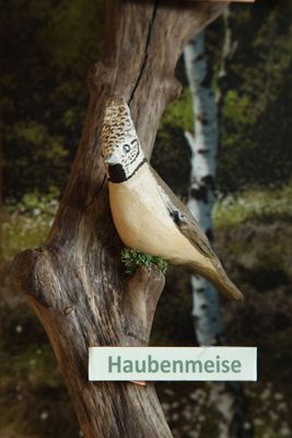 Haubenmeise