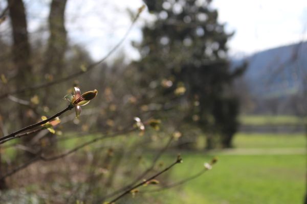 Seegarten Amorbach