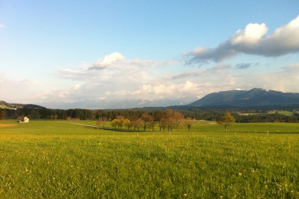 Alpenpanorama bei Schönegg