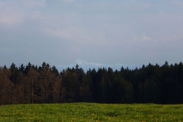 Grandioser Blick vom Schellenberg auf die Bayerischen Alpen.