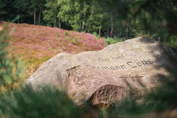 Großer Findling Lönsgrab mit Aufschrift "Hier ruht Hermann Löns" und auf der Rückseite die Wolfsangel