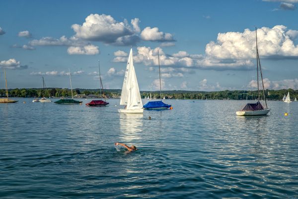 Schwimmer im Starnberger See