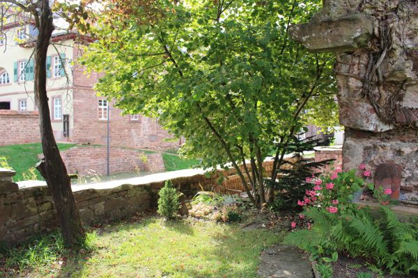 Mainzer Amtskellerei Amorbach