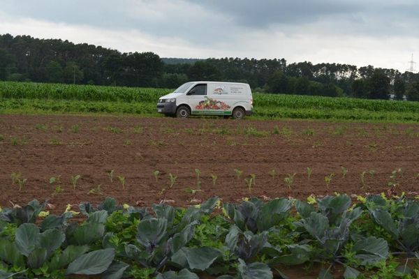Die Ernte geht den direkten Weg vom Feld in den Hofladen