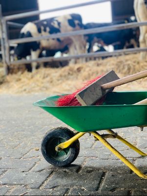 Kinderschubkarre mit Kinderbesen auf dem Weidenhof