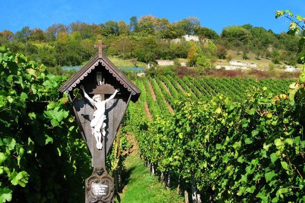 Weinberge mit Schmachtenburg