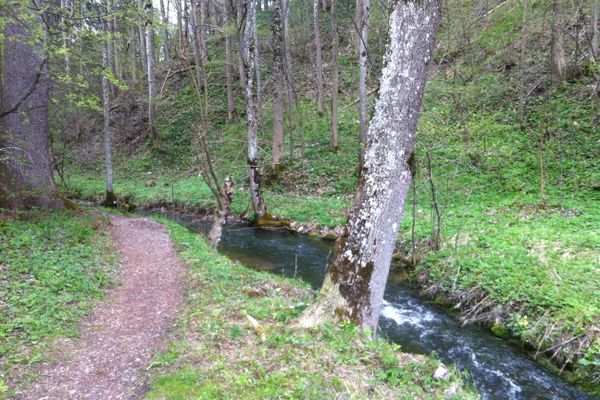 Idyllische Pfade führen am Mühlbach entlang