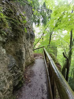 #4 Muggendorfer Gebürg