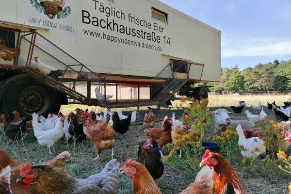 Das Hühnermobil der happyodenwaldranch