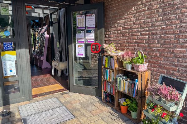 Eingangsbereich des Hauses des Gastes in Hösseringen mit Bücherregal zum Stöbern und Blumen