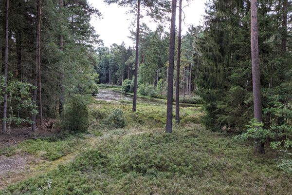 Natur