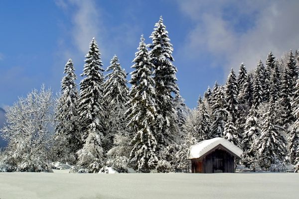 Winter hike - Geizenmoos