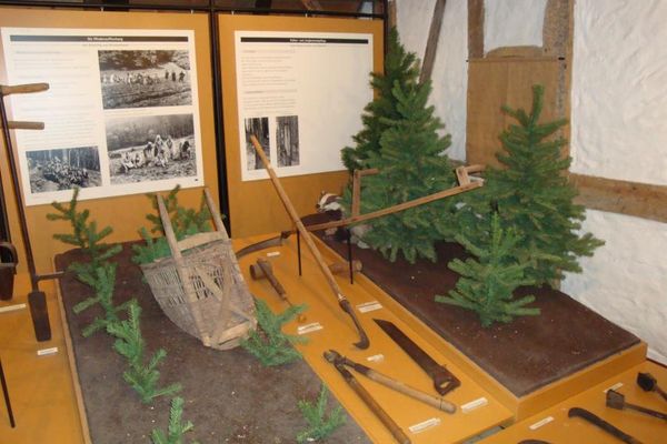 Waldmuseum Watterbacher Haus