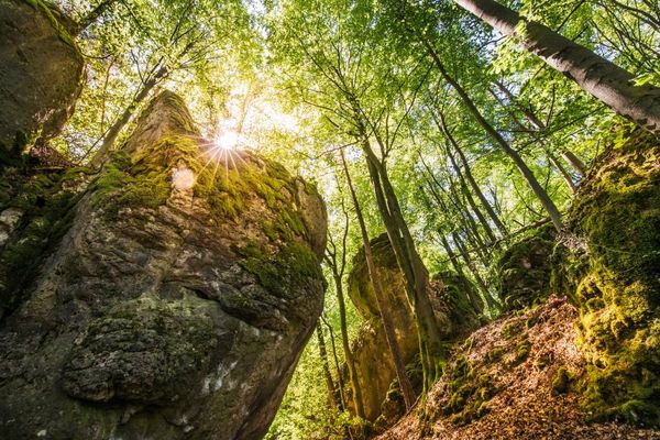Felsen bei Obertrubach