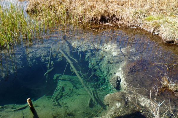 Durch das klare Wasser ist der trichterförmige Quelltopf vom Steg aus gut zu erkennen.