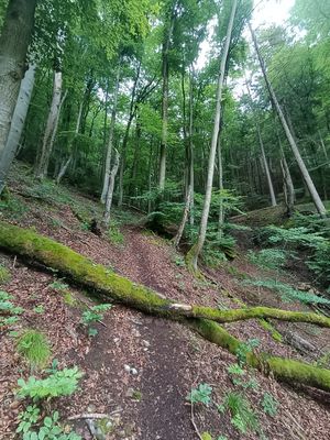 #8 Schnelle Runde